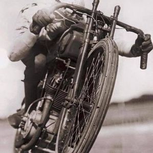 Meet your Posher, IVY